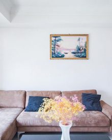 House sofa garden renting deposit